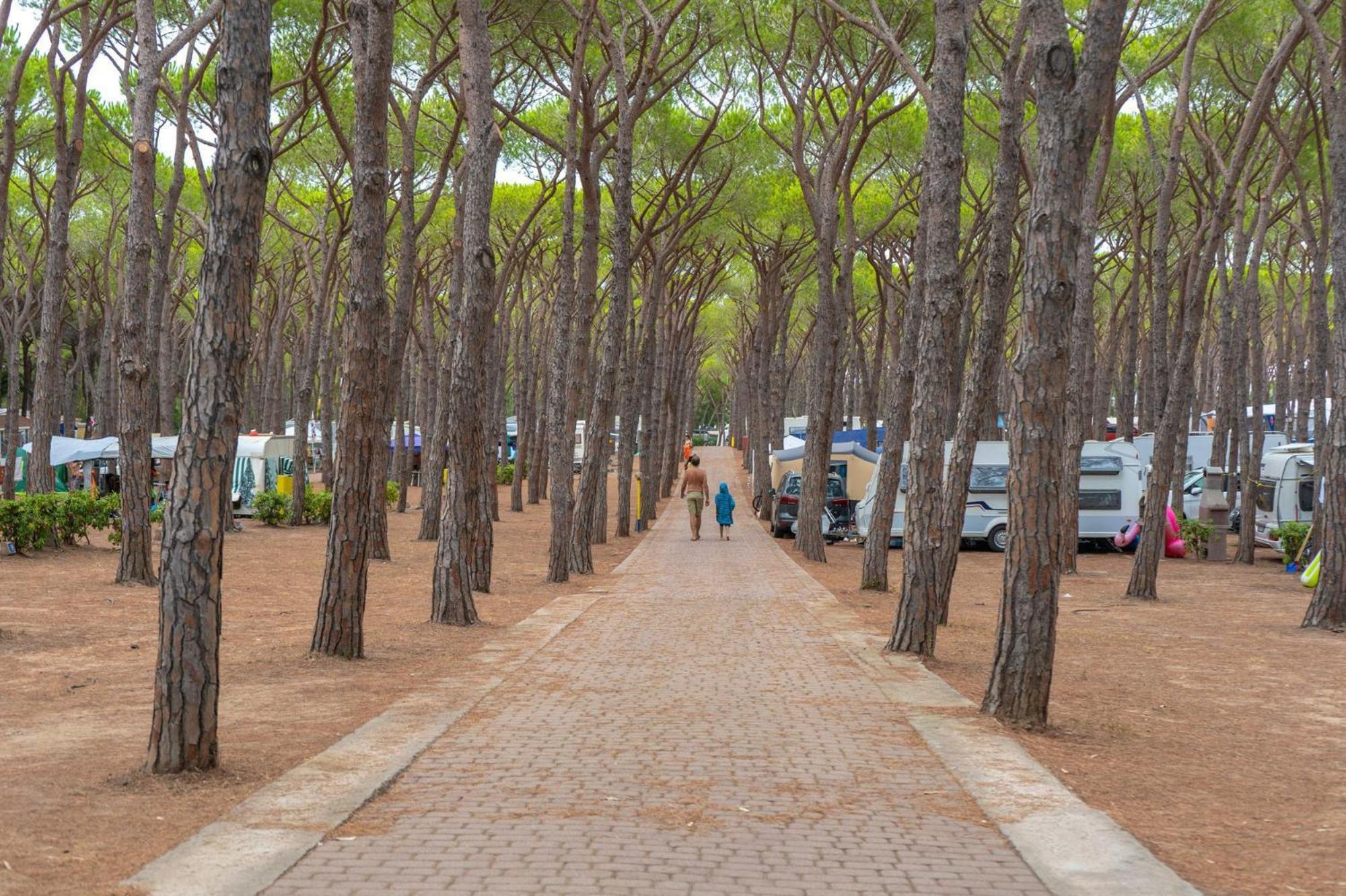 Camping Village Baia Blu La Tortuga Aglientu Exteriér fotografie